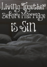 Living Together Before Marriage IS Sin – The Transformed Wife
