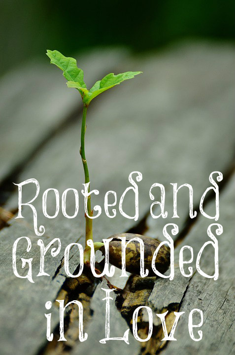 rooted and grounded