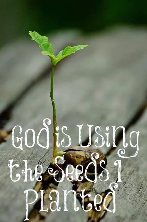 planting the seed of christ