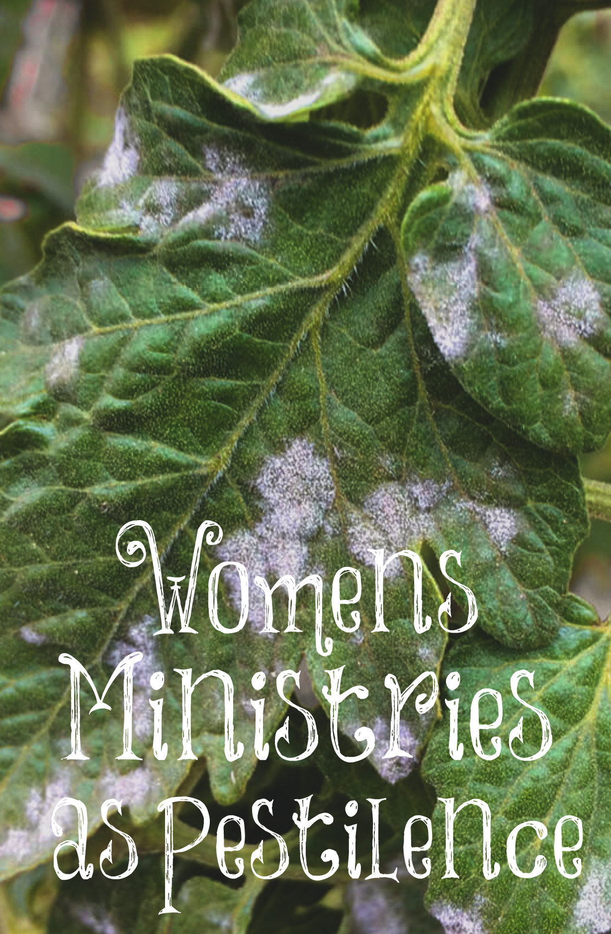 Women’s Ministries as Pestilence