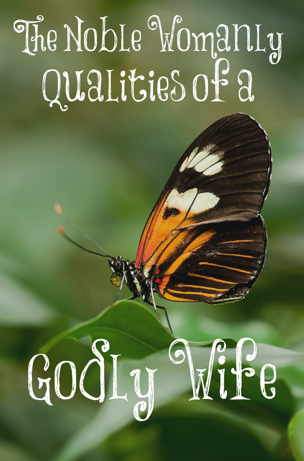 The Noble Womanly Qualities of a Godly Wife